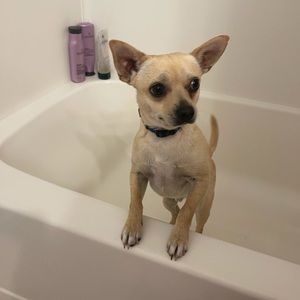 Meet your Posher, Jason